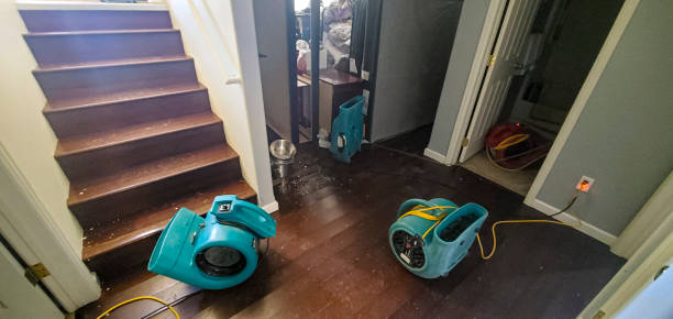  Dunstan, ME Water damage restoration Pros