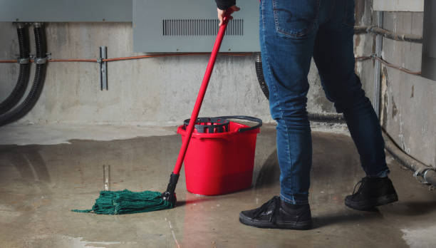 Best Ceiling water damage repair  in Dunstan, ME