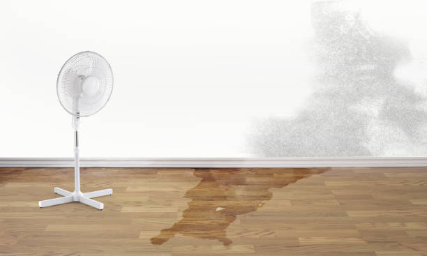 Best Professional water damage repair  in Dunstan, ME
