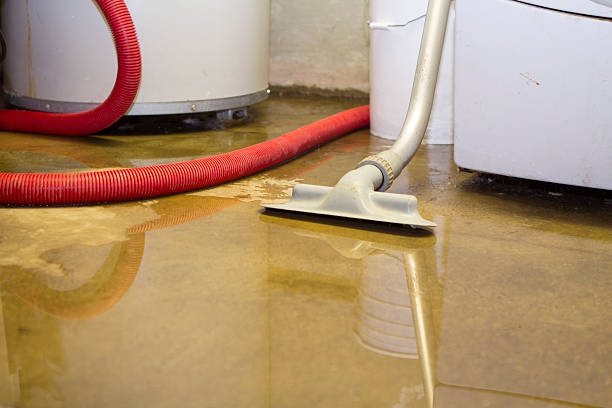 Best Water damage restoration near me  in Dunstan, ME