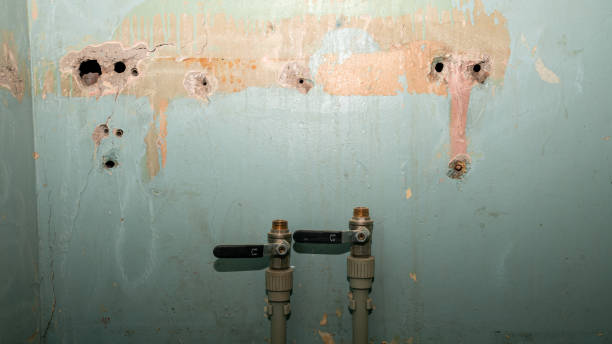 Best Commercial water damage restoration  in Dunstan, ME