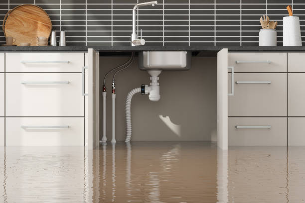 Best Water damage restoration company  in Dunstan, ME